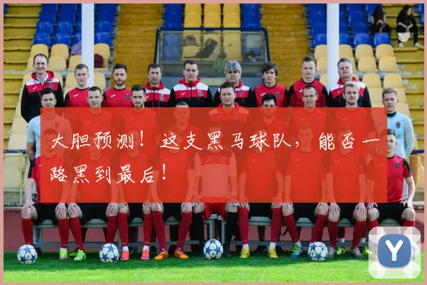 大胆预测！这支黑马球队，能否一路黑到最后！