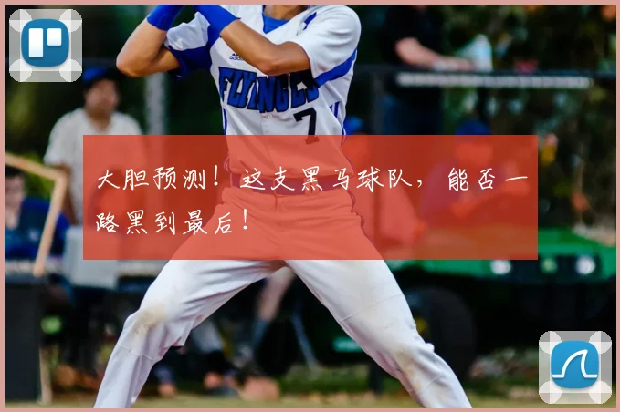 大胆预测！这支黑马球队，能否一路黑到最后！